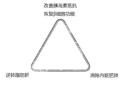 XG溯源系统根糖法核心组成